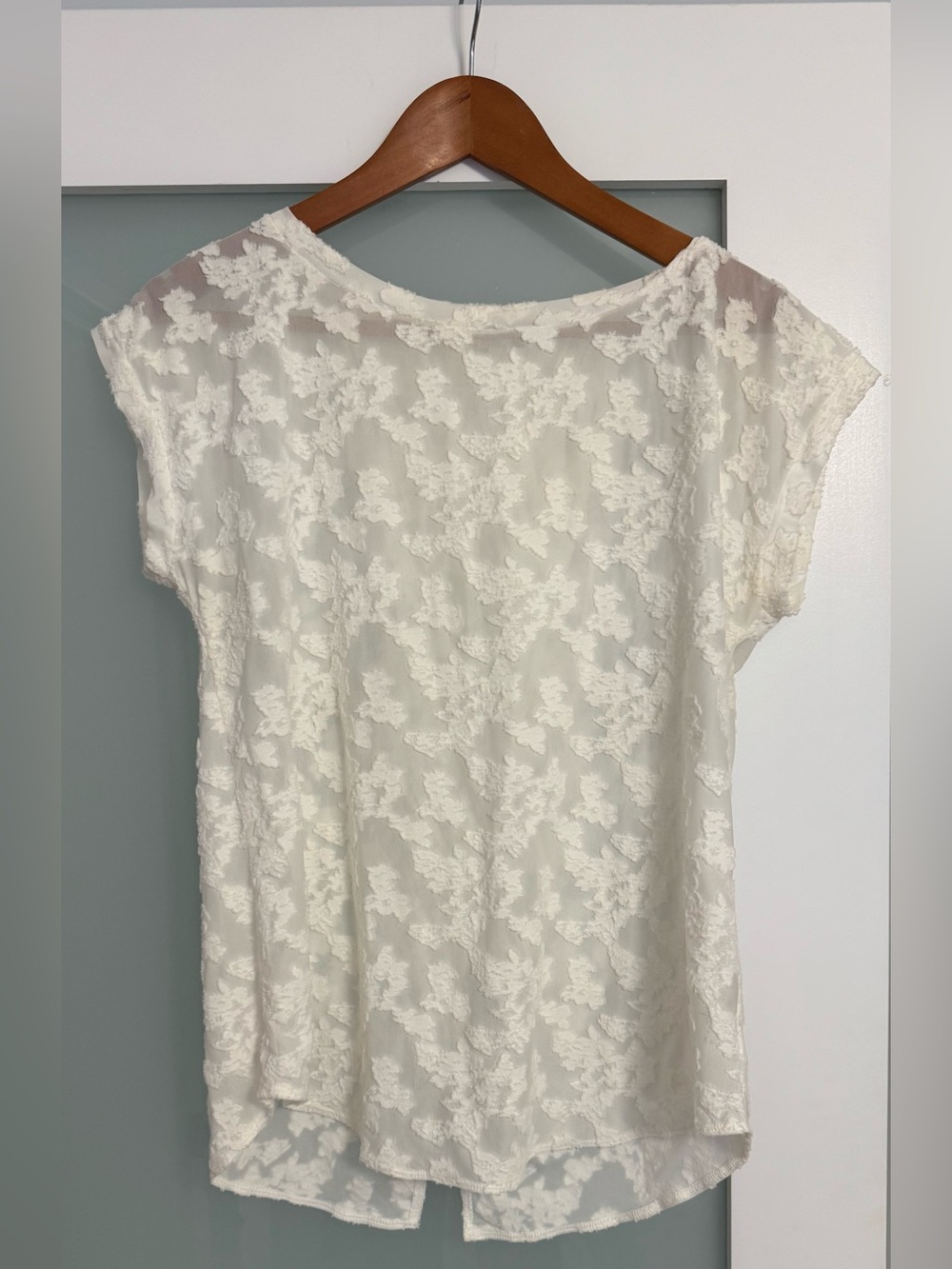 Wilfred by Aritzia White Floral Lace Blouse | Sheer Overlay | Size M